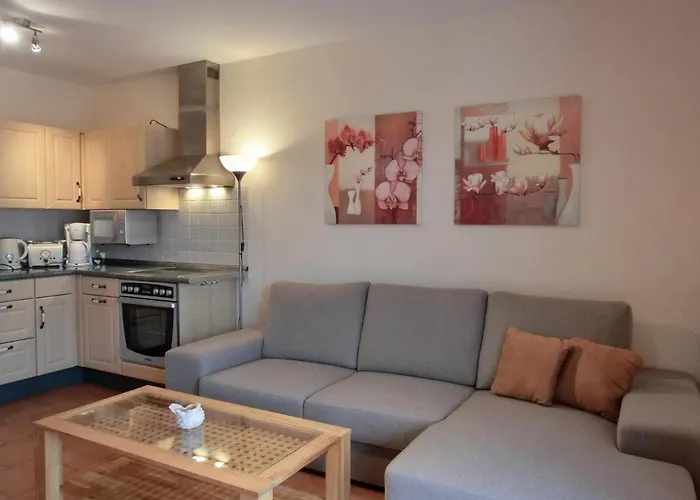 H 12 * 格拉尔-米里茨